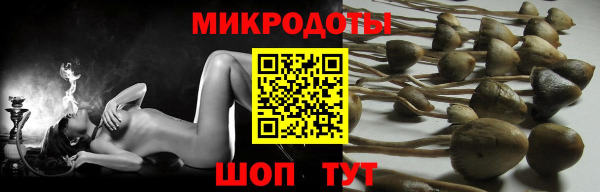 Балашиха  Галлюциногенные грибы Magic Shrooms  Вход с VPN 